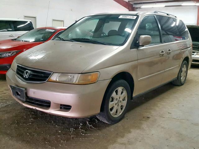 5FNRL18042B028820 - 2002 HONDA ODYSSEY EX GOLD photo 2