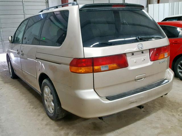 5FNRL18042B028820 - 2002 HONDA ODYSSEY EX GOLD photo 3