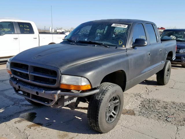 1D7HG48N03S218136 - 2003 DODGE DAKOTA QUA BLACK photo 2