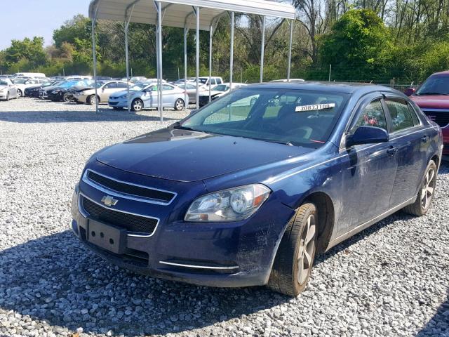 1G1ZC5EU8BF106700 - 2011 CHEVROLET MALIBU 1LT 蓝色 照片 2