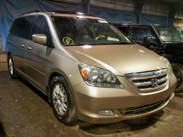 5FNRL38815B090276 - 2005 HONDA ODYSSEY TO GOLD photo 1