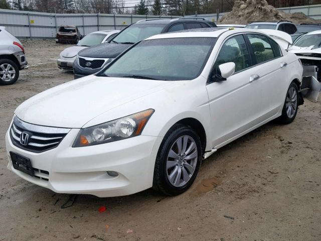 1HGCP3F86BA003605 - 2011 HONDA ACCORD EXL WHITE photo 2