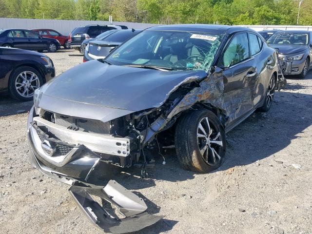 1N4AA6AP8HC396839 - 2017 NISSAN MAXIMA 3.5 GRAY photo 2