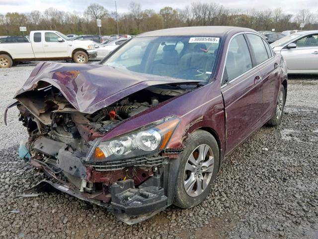 1HGCP2F46CA173830 - 2012 HONDA ACCORD LXP BURGUNDY photo 2