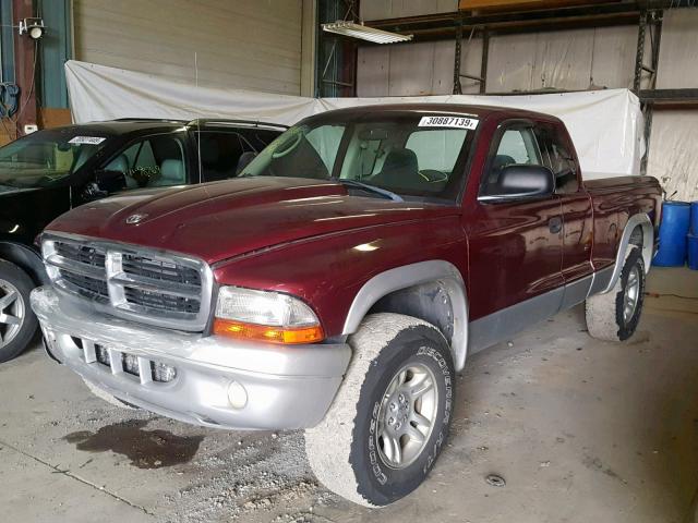 1B7GG42N42S659121 - 2002 DODGE DAKOTA MAROON photo 2