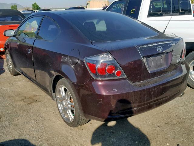 JTKDE167980258602 - 2008 SCION TC PURPLE photo 3