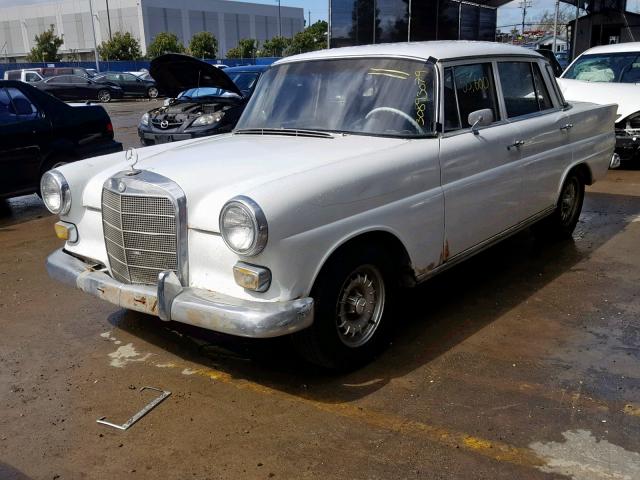 269787200D - 1966 MERCEDES-BENZ 200D WHITE photo 2