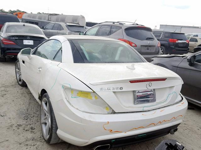 WDDPK4HA7EF076807 - 2014 MERCEDES-BENZ SLK 250 WHITE photo 3