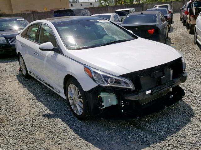 5NPE34AF6FH033443 - 2015 HYUNDAI SONATA SPO WHITE photo 1