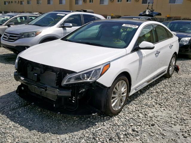 5NPE34AF6FH033443 - 2015 HYUNDAI SONATA SPO WHITE photo 2