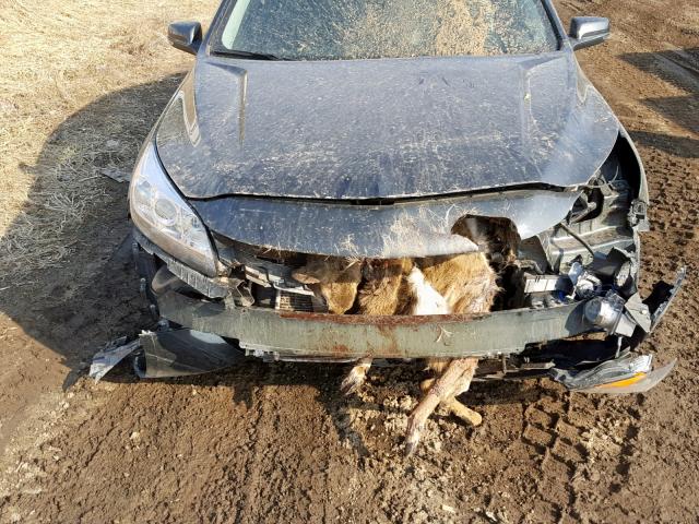 1G11C5SA3GU116268 - 2016 CHEVROLET MALIBU LIM 黑色 照片 7