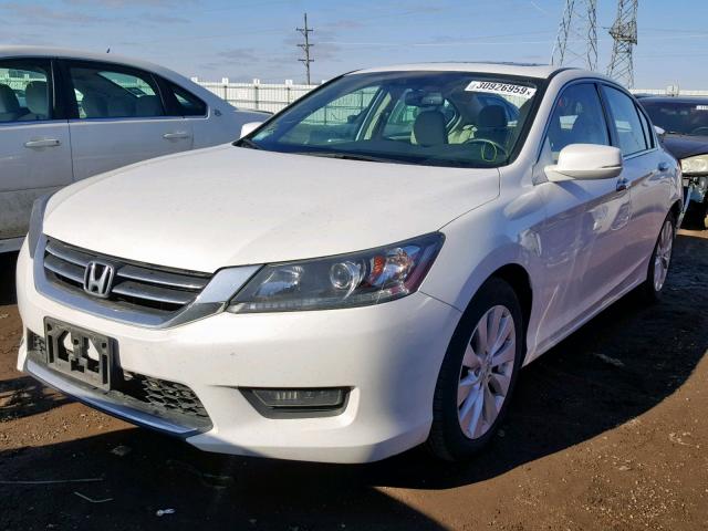 1HGCR2F84EA291603 - 2014 HONDA ACCORD EXL WHITE photo 2