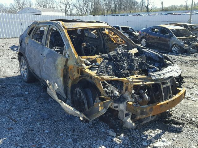 3GYFNBEY9BS517986 - 2011 CADILLAC SRX PERFOR BURN photo 1