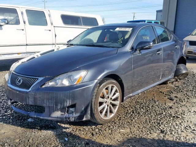 JTHBK262295091049 - 2009 LEXUS IS 250 BLUE photo 2