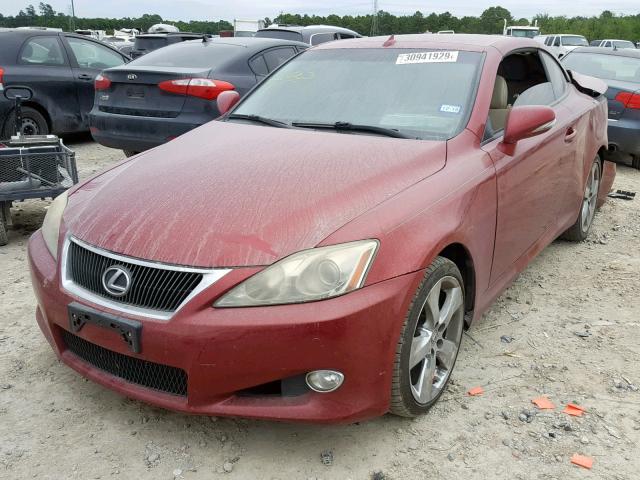 JTHFF2C29A2510403 - 2010 LEXUS IS 250 RED photo 2