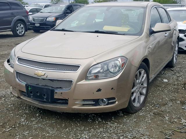 1G1ZK57778F282060 - 2008 CHEVROLET MALIBU LTZ GOLD photo 2