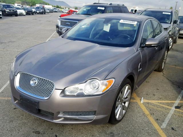 SAJWA0GB8BLR95483 - 2011 JAGUAR XF PREMIUM BROWN photo 2