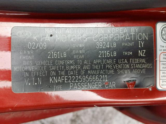 KNAFE222595666211 - 2009 KIA SPECTRA EX RED photo 10