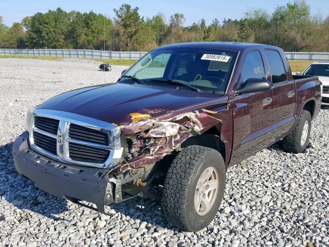 1D7HE48N45S130053 - 2005 DODGE DAKOTA QUA BURGUNDY photo 2