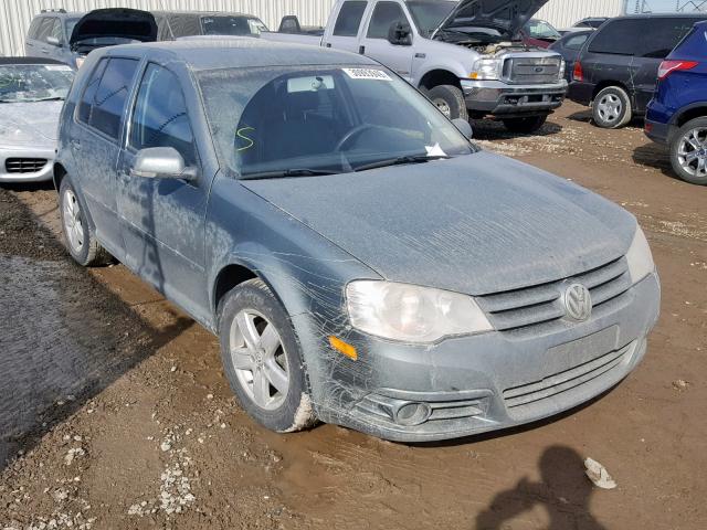 9BWEL6BE6A4000173 - 2010 VOLKSWAGEN CITY GOLF GRAY photo 1