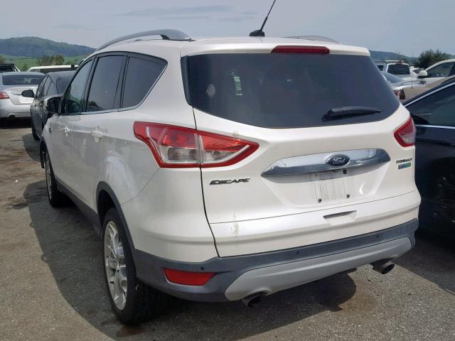 1FMCU0JX3EUD44219 - 2014 FORD ESCAPE TIT WHITE photo 3