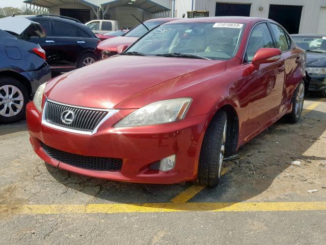 JTHBK262X92084707 - 2009 LEXUS IS 250 RED photo 2