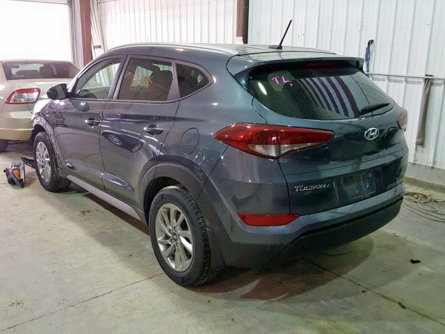 KM8J3CA41HU567526 - 2017 HYUNDAI TUCSON LIM BLUE photo 3