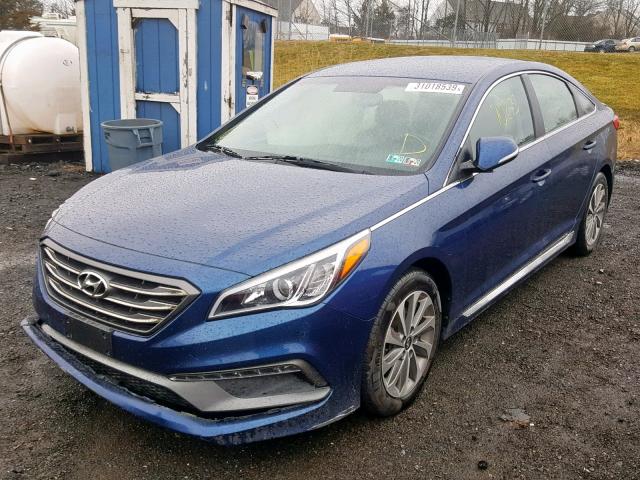 5NPE34AF4FH033702 - 2015 HYUNDAI SONATA SPO BLUE photo 2