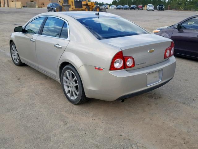 1G1ZE5EB3AF250033 - 2010 CHEVROLET MALIBU LTZ ბეჟი ფოტო 3