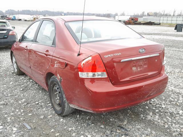 KNAFE221X95656474 - 2009 KIA SPECTRA EX RED photo 3