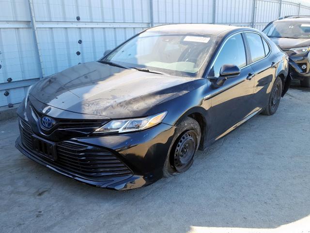 4T1B31HK8KU512107 - 2019 TOYOTA CAMRY LE  photo 2