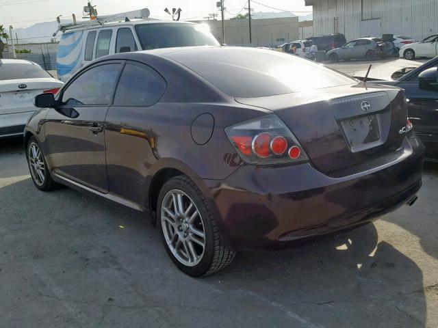 JTKDE3B7XA0310066 - 2010 TOYOTA SCION TC PURPLE photo 3