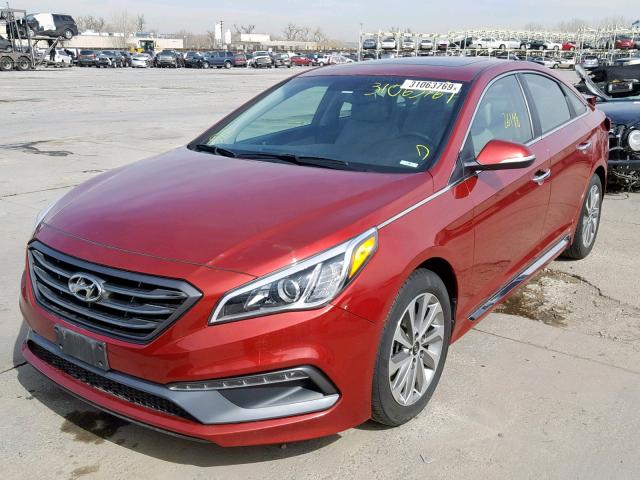 5NPE34AF2GH383556 - 2016 HYUNDAI SONATA SPO RED photo 2