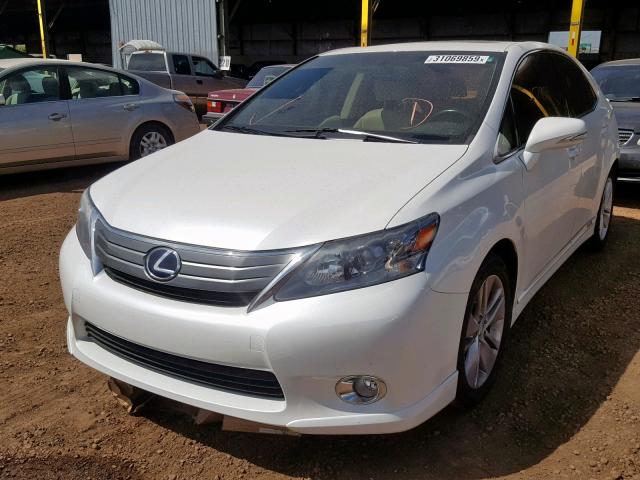 JTHBB1BA1A2032328 - 2010 LEXUS HS 250H WHITE photo 2