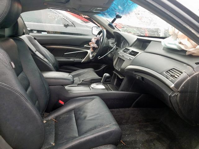 1HGCS2B83AA006152 - 2010 HONDA ACCORD EXL  photo 5