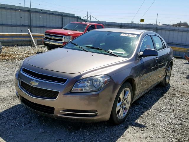 1G1ZC5EB3AF244061 - 2010 CHEVROLET MALIBU 1LT 米色 照片 2
