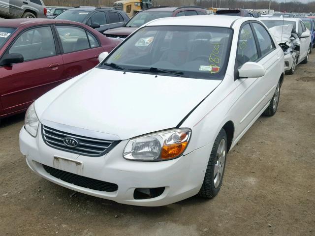 KNAFE122485536915 - 2008 KIA SPECTRA EX WHITE photo 2