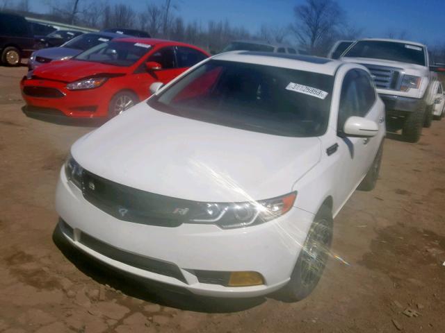 KNAFU5A24C5560524 - 2012 KIA FORTE EX WHITE photo 2