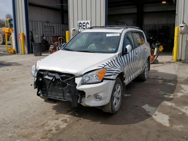 2T3DF4DV1BW099455 - 2011 TOYOTA RAV4 LIMIT WHITE photo 2