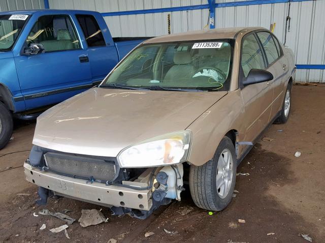 1G1ZT54815F234138 - 2005 CHEVROLET MALIBU LS GOLD photo 2