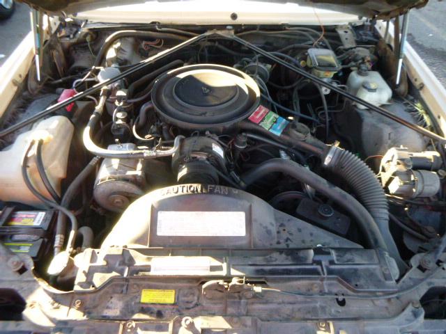 1G6EL5785FE666792 - 1985 CADILLAC ELDORADO CREAM photo 7