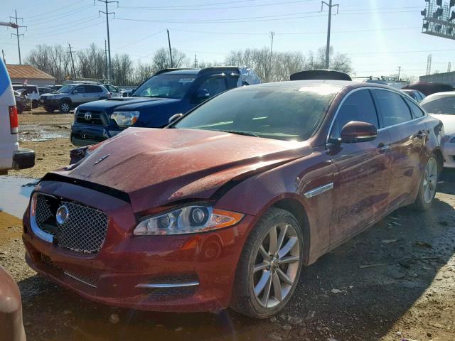 SAJWA2GB7BLV18247 - 2011 JAGUAR XJL RED photo 2