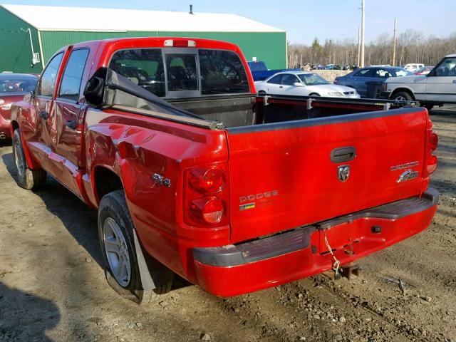 1D7RW3GP0BS708627 - 2011 DODGE DAKOTA SLT RED photo 3