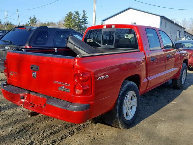 1D7RW3GP0BS708627 - 2011 DODGE DAKOTA SLT RED photo 4