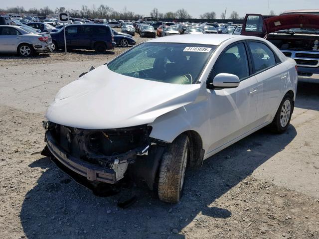 KNAFU4A24C5489027 - 2012 KIA FORTE EX WHITE photo 2