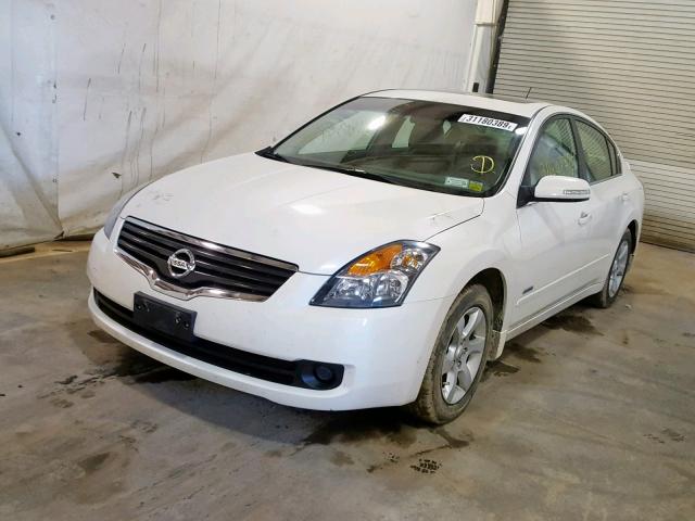 1N4CL21E99C134243 - 2009 NISSAN ALTIMA HYB WHITE photo 2