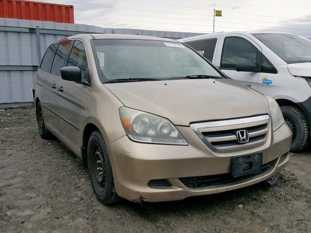 5FNRL38295B511110 - 2005 HONDA ODYSSEY LX GOLD photo 1