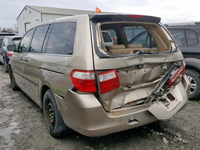 5FNRL38295B511110 - 2005 HONDA ODYSSEY LX GOLD photo 3