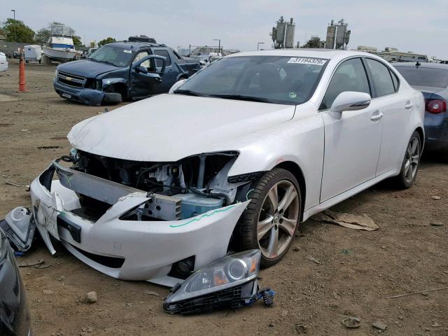 JTHBF5C23C5160994 - 2012 LEXUS IS 250 WHITE photo 2