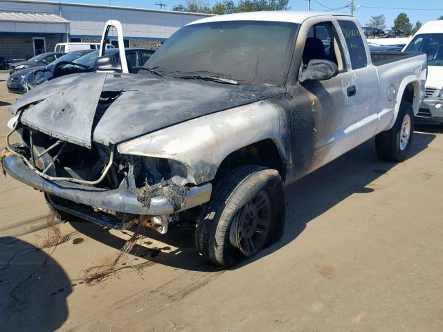 1D7HG42X33S311792 - 2003 DODGE DAKOTA SLT WHITE photo 2